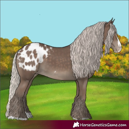 Horse Color:Silver Black Splash Blanket 