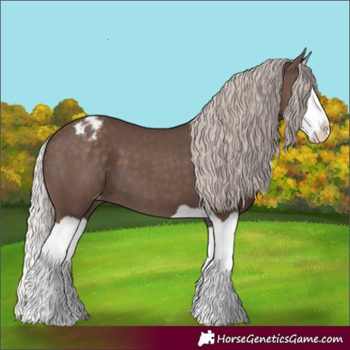Horse Color:Silver Black Splash Varnish 