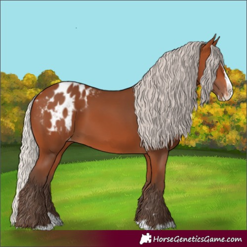 Horse Color:Silver Bay Splash Blanket