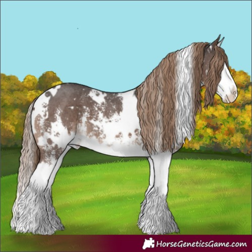 Horse Color:White Spotted Liver Chestnut Sabino Splash Varnish 
