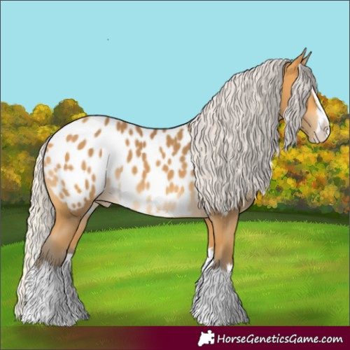 Horse Color:Silver Buckskin Splash Blanket