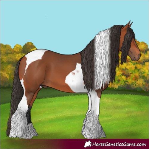 Horse Color:Bay Tobiano