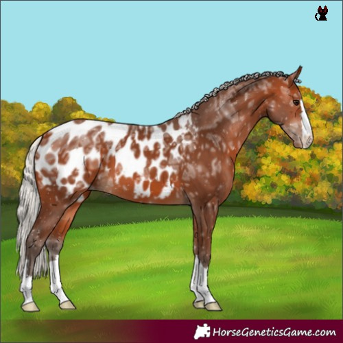 Horse Color:Silver Bay Ice Blanket 