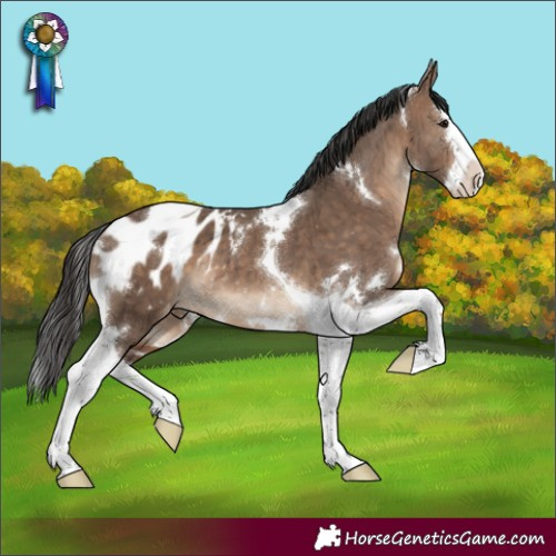Horse Color:White Spotted Brown Dun Splash Tobiano Blanket Brindle
