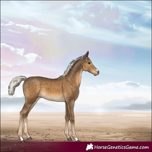 Horse Color:Chocolate Palomino 