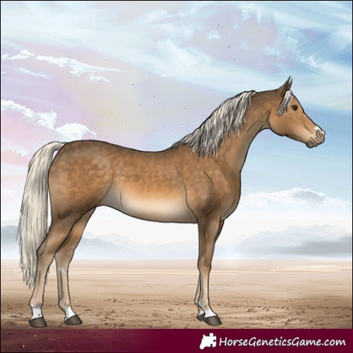 Horse Color:Chocolate Palomino