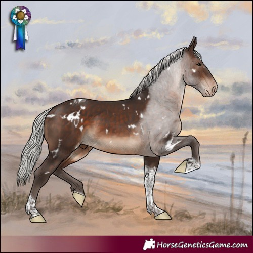 Horse Color:White Spotted Silver Brown Tobiano Blanket 