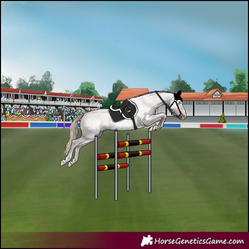 Horse Color:Perlino Roan Dun 