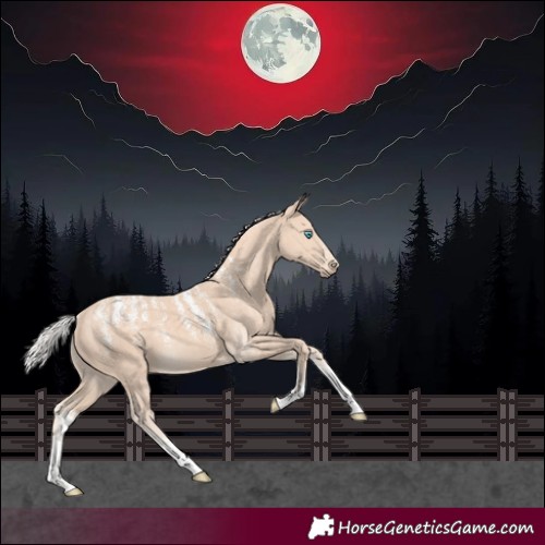 Horse Color:Powder White Silver Perlino 