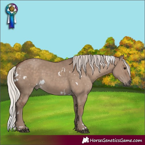 Horse Color:White Spotted Silver Grullo