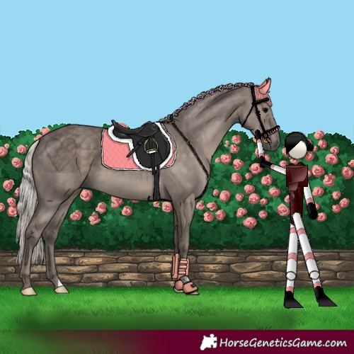 Horse Color:Silver Black