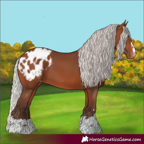 Horse Color:Silver Brown Blanket