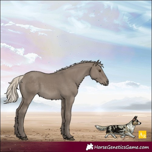 Horse Color:Silver Smoky Grullo Rabicano 