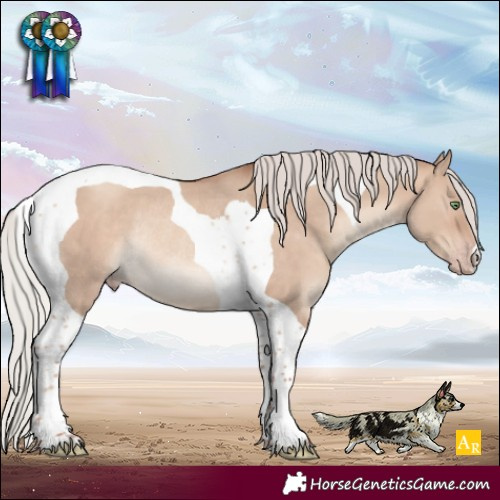 Horse Color:Silver Sable Champagne Dun Tobiano Rabicano