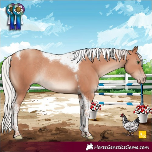 Horse Color:Silver Sable Champagne Tobiano Rabicano 