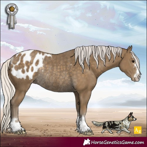 Horse Color:Silver Smoky Black Blanket Rabicano 