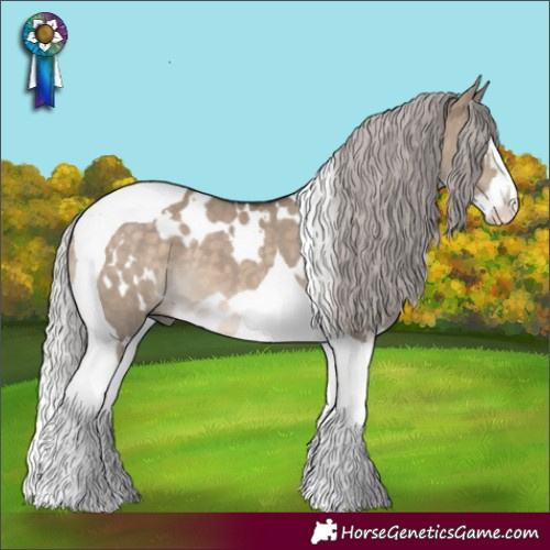 Horse Color:White Spotted Silver Brown Dun Splash Tobiano 
