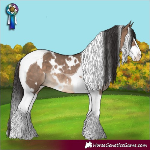 Horse Color:White Spotted Brown Dun Splash Tobiano Rabicano