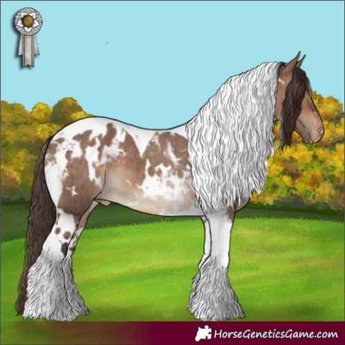 Horse Color:White Spotted Brown Dun Tobiano Blanket Brindle 
