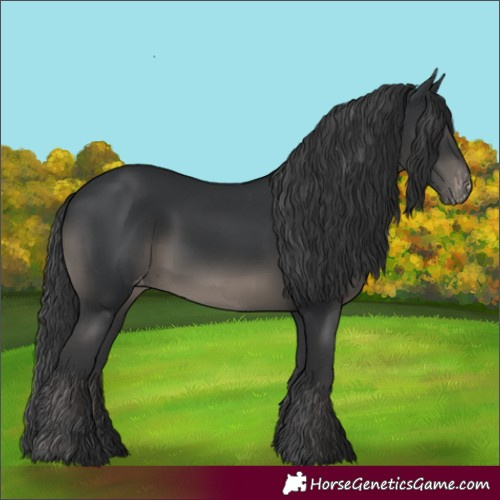 Horse Color:Black Varnish 