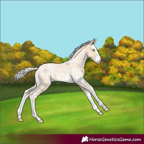 Horse Color:Silver Buckskin Pearl Sabino