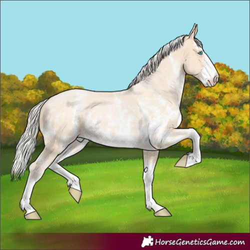 Horse Color:Silver Buckskin Pearl Sabino 