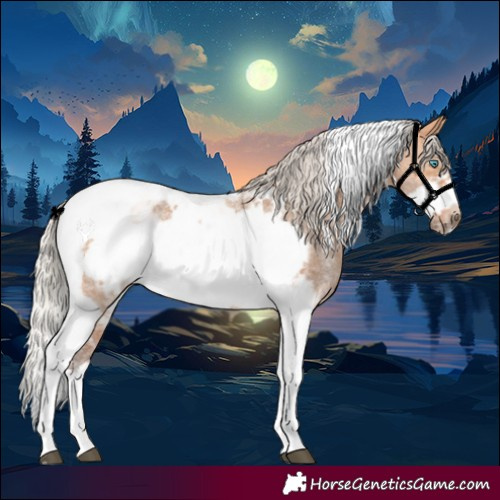 Horse Color:Silver Bay Dun Sabino Tobiano Frame Rabicano 