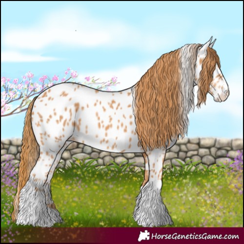 Horse Color:Chestnut Splash Tobiano Near Leopard