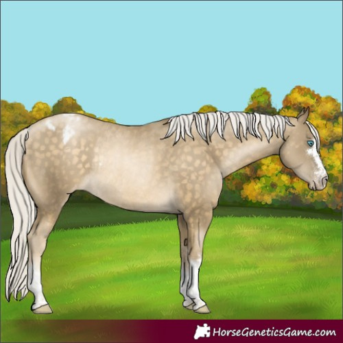 Horse Color:Silver Buckskin Pearl Varnish Rabicano