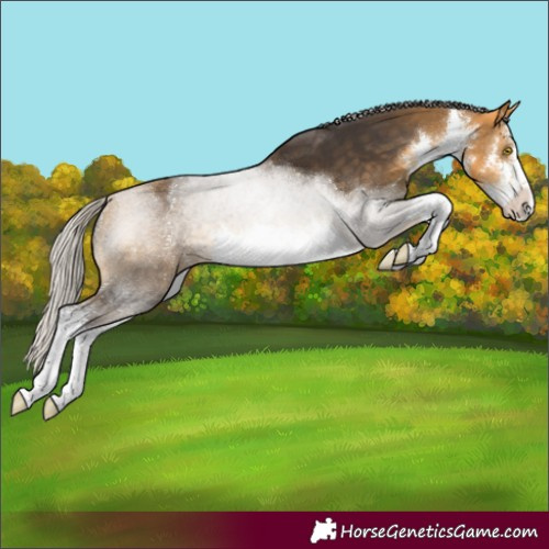 Horse Color:White Spotted Silver Buckskin 