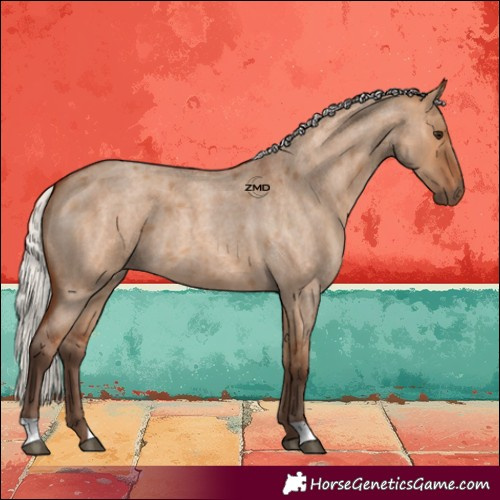 Horse Color:Silver Bay Roan Dun 