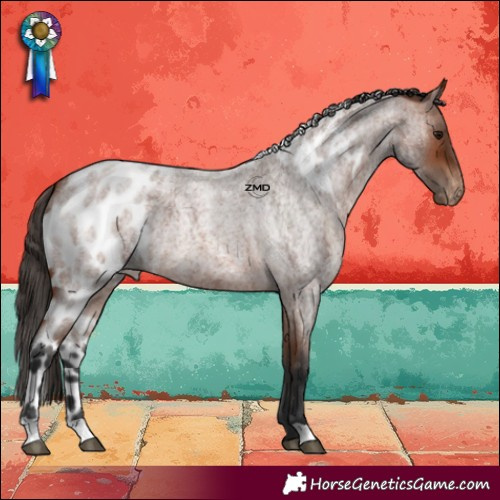 Horse Color:Bay Roan Skewed LP Spotted 