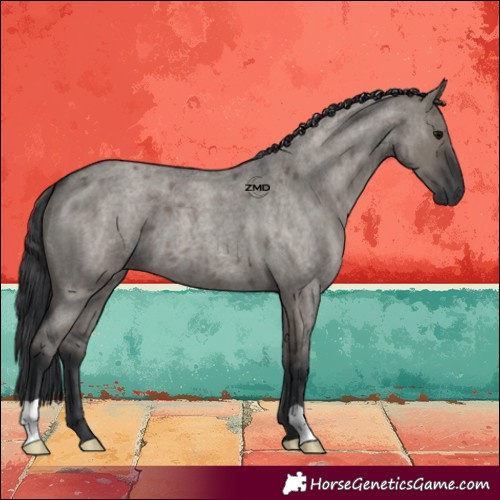 Horse Color:Grullo Roan 