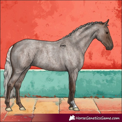 Horse Color:Silver Blue Roan 