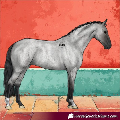 Horse Color:Grullo Roan 