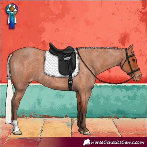 Horse Color:Silver Bay Roan Skewed LP Spotted 