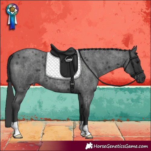 Horse Color:Blue Roan