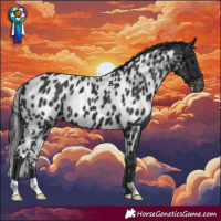 Horse Color:Black Skewed LP Spotted 