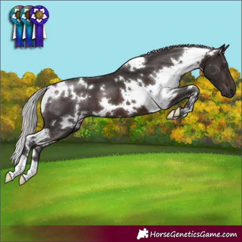 Horse Color:White Spotted Silver Brown