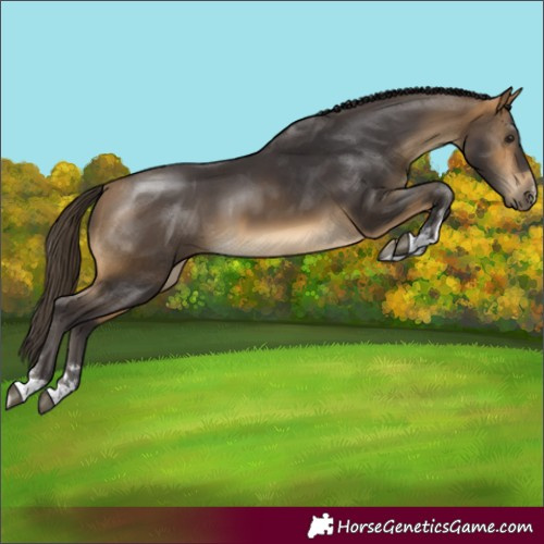Horse Color:Buckskin
