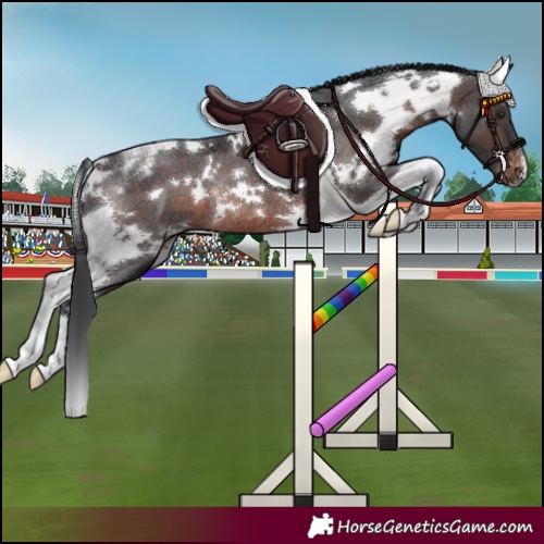 Horse Color:White Spotted Brown Tobiano Varnish Rabicano 