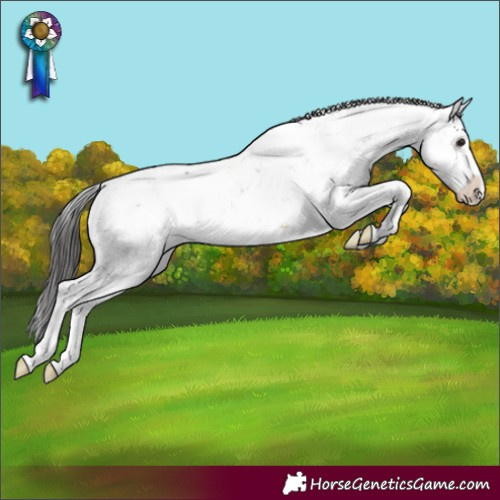 Horse Color:Buckskin Sabino Varnish 
