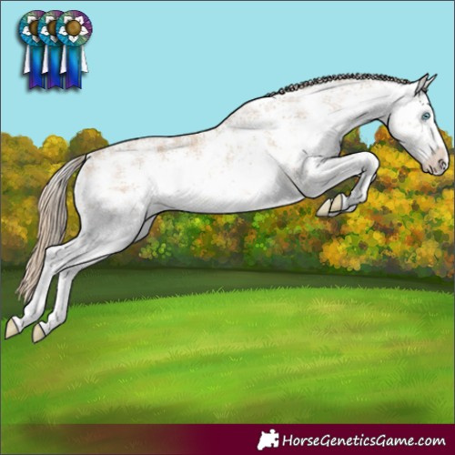 Horse Color:White Spotted Perlino Sabino 
