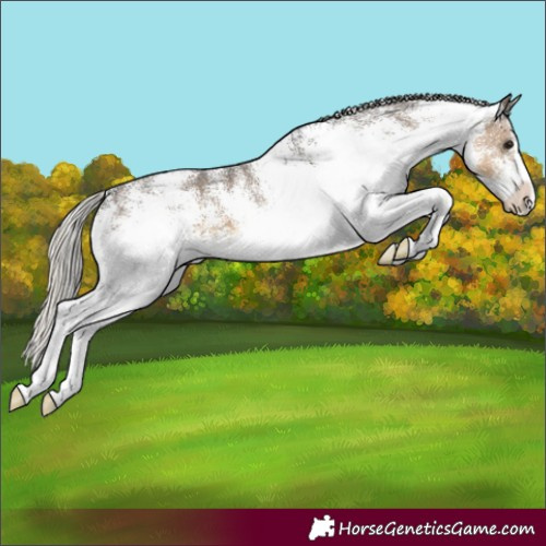 Horse Color:White Spotted Silver Smoky Black 