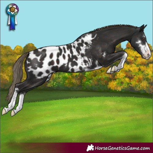 Horse Color:Liver Chestnut Blanket 