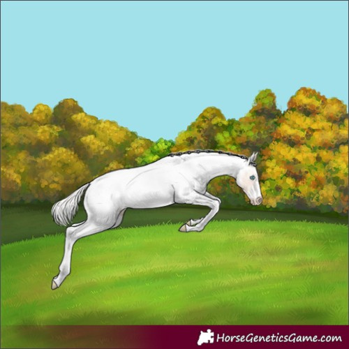 Horse Color:White Spotted Silver Smoky Creme Appaloosa
