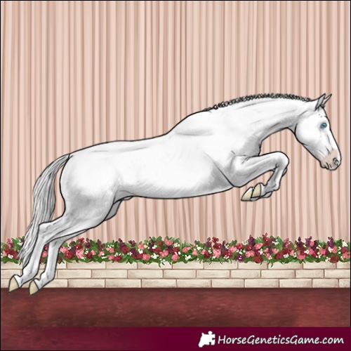 Horse Color:White Spotted Silver Perlino Sabino Varnish 