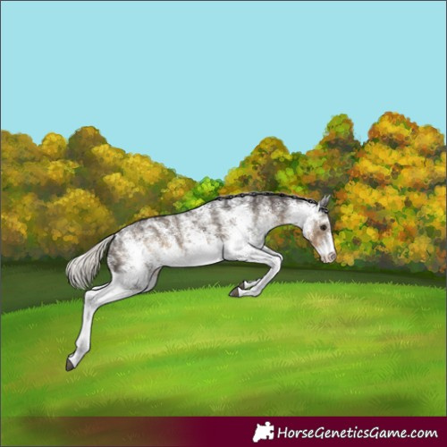 Horse Color:White Spotted Silver Smoky Black 
