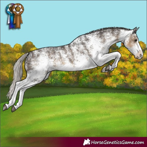 Horse Color:White Spotted Silver Smoky Black 