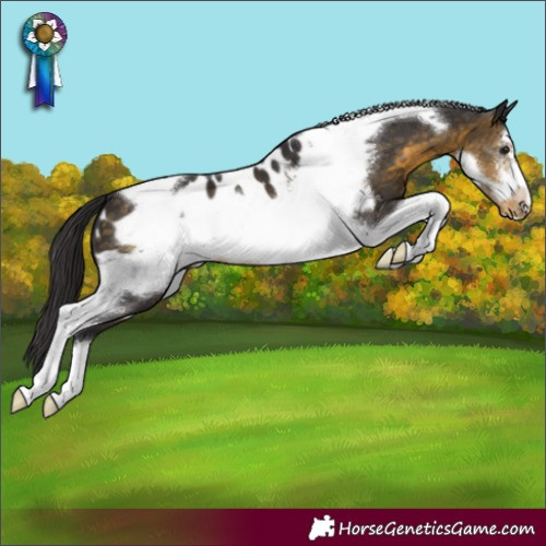 Horse Color:Buckskin Tobiano Frame Blanket